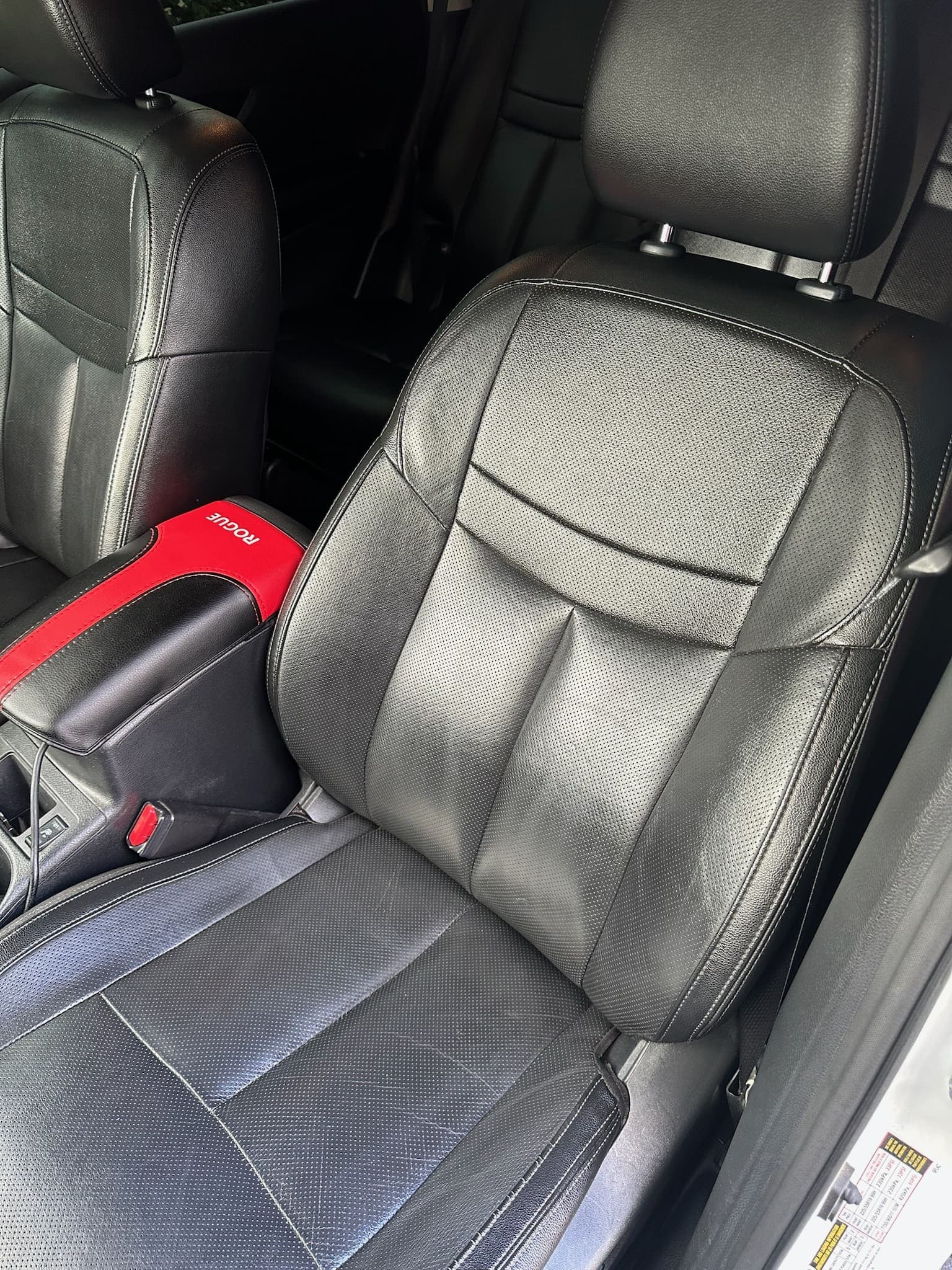 Cargo floor after vacuum and shampoo